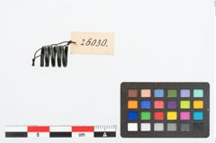 Foto von Bronzespiralröhrchen (NHMW-PRAE-026030)